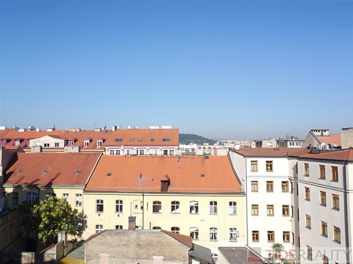 Квартира, 3 + кк, 105 м2, Краковска, Прага 1 - Нове Место фото 8